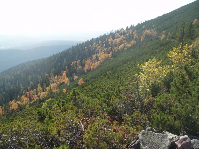 日本の山岳地帯に本当に似ています。