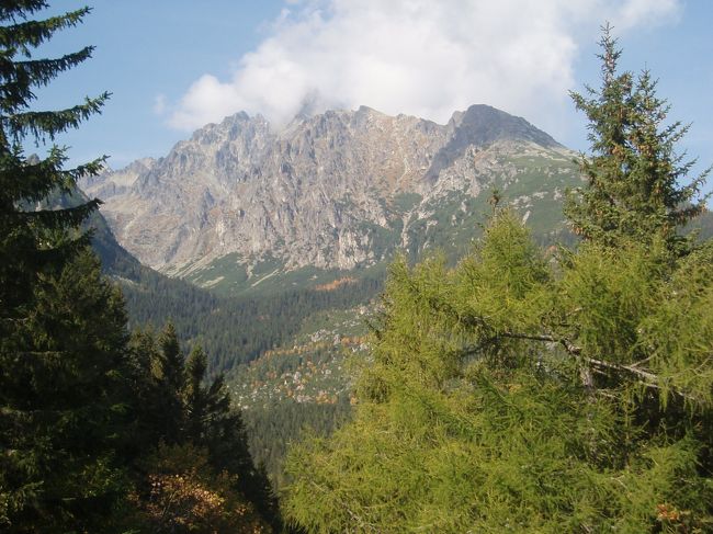 この光景も本当に素晴らしい！