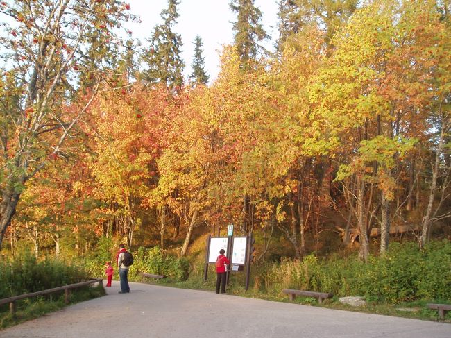 紅葉がきれい！