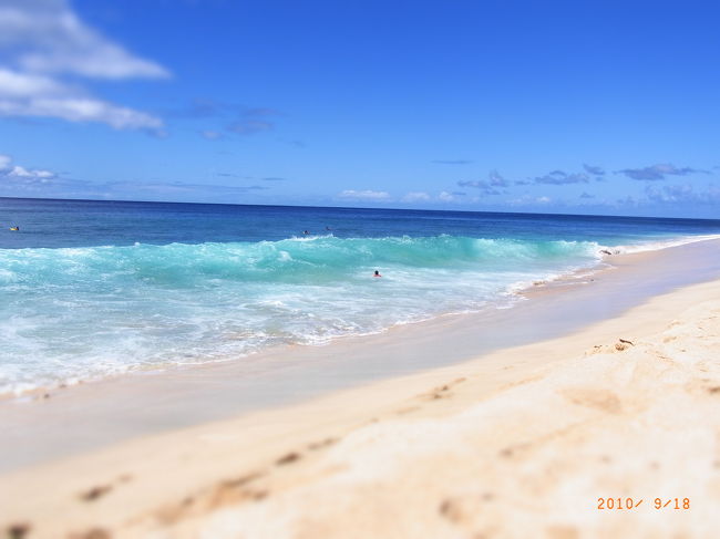 ネイチャー再発見 野生イルカと海亀と・・・オアフ島２０１０秋