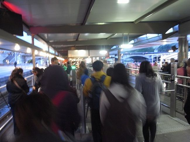 船着き場も長蛇の列で、１時間ぐらい待たされやっと船に乗れました。この船には席の横の電話みたいな機具で、各国の言葉でガイドを聞けるのですが、私の前に中国人の女性グループがあり、乗り込む時に何人？って聞かれるのですが、乗り込む時にそのグループにまぎれてしまって、私は何人か聞かれなくて、あげくの果てにこの船に乗り込んだ日本人は私のみだったので、日本語のガイドは設定されずでした、、トホホ、、