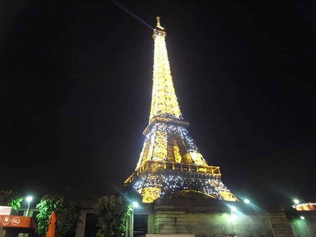 ちょうど、エッフェル塔のイルミネーションショーが開始され、ピカピカ光るエッフェル塔を見ることができました。