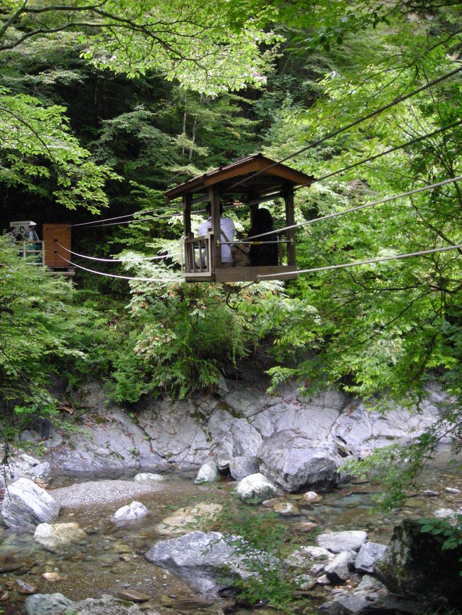 奥祖谷二重かずら橋