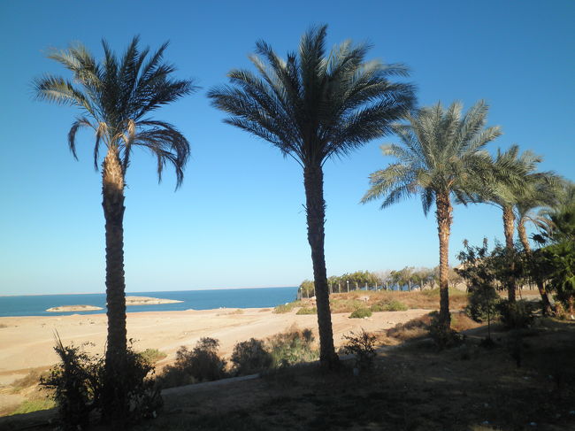 アブ・シンベル<br /><br />＊みやげもの屋附近からナイル湖