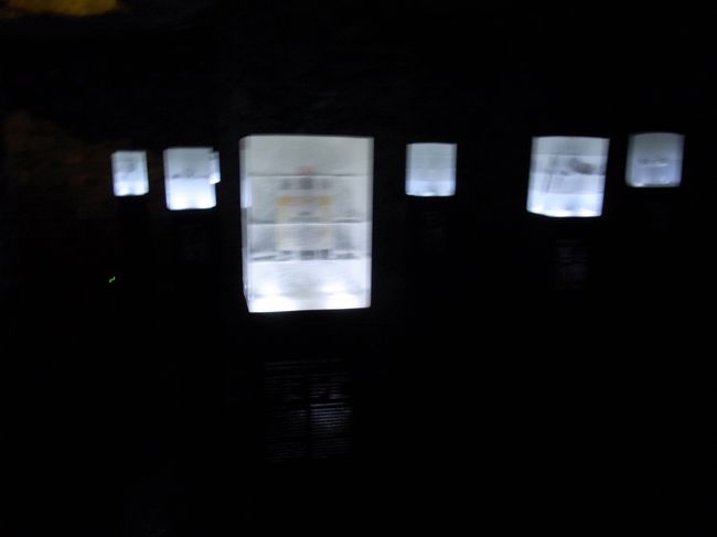 実際はこんな風に見える。<br />ね、暗いでしょ！！