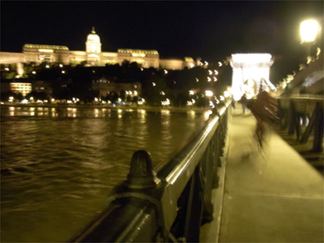 宿に帰ったら、前の宿泊客が忘れて置いていったフォアグラで、フォアグラパーティーが始まった。ドミトリー形式の宿は宿泊者同士の交流も多いようだ。そしてフォアグラ＋醤油＋ご飯は、よく合う。<br /><br />暗くなったので、鎖橋と王宮のライトアップを見に行く。<br />