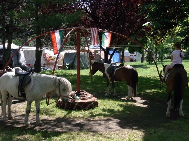 市民公園のはじっこにいた馬たち。<br />ジプシーなのかな？奥にテントが見えた。