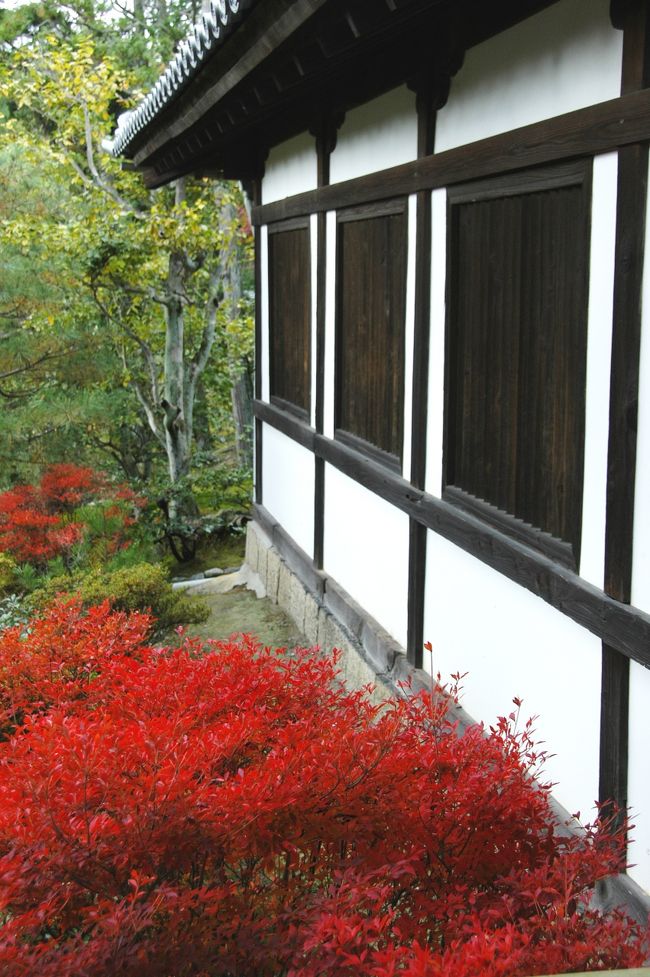 東福寺リベンジ 通天橋の紅葉観賞 楼門 普門院 開山堂編 東山 祇園 北白川 京都 の旅行記 ブログ By こまちゃんさん フォートラベル 東福寺リベンジ 通天橋の紅葉観賞 楼門 普門院 開山堂編 東山 祇園 北白川 京都 の旅行記 ブログ By こまちゃんさん フォートラベル