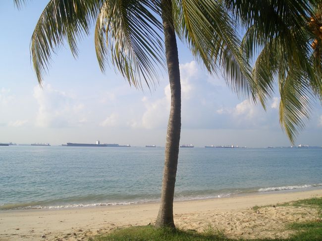 カトンエリアを南下すると、イーストコーストのビーチにたどり着きました。<br />狭い面積とはいえ、都会ありビーチありシンガポールって楽しいな。<br />住みたいぞ。