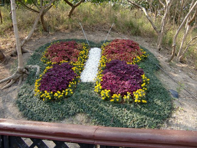 ハウスの後ろ側にはこんな蝶の花壇<br /><br />そういえばホテル名もバタフライだけど、蝶々って香港では何か縁起がいいものなのかしら？