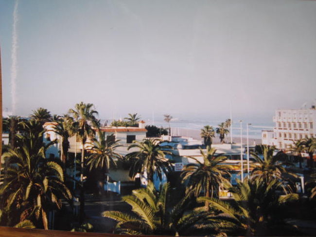 １日目は成田からＫＬＭでアムステルダムへ。<br />数時間のトランジットの後、トランザビア航空でカサブランカへ。<br />このトランザビア航空、ＬＣＣながら食事もちゃんと出ました。<br />しかし、なんといってもアテンダントがヤングなイケメンオンリー！<br />同行の女性陣はウハウハしてました（笑<br /><br />写真は２日目の朝、カサブランカのホテルから大西洋を望むところ。