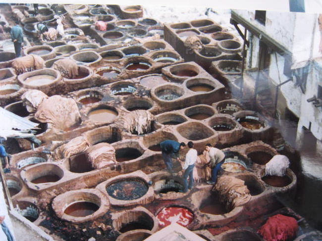 フェズのタンネリ。<br />入り口でミントの葉を貰う。