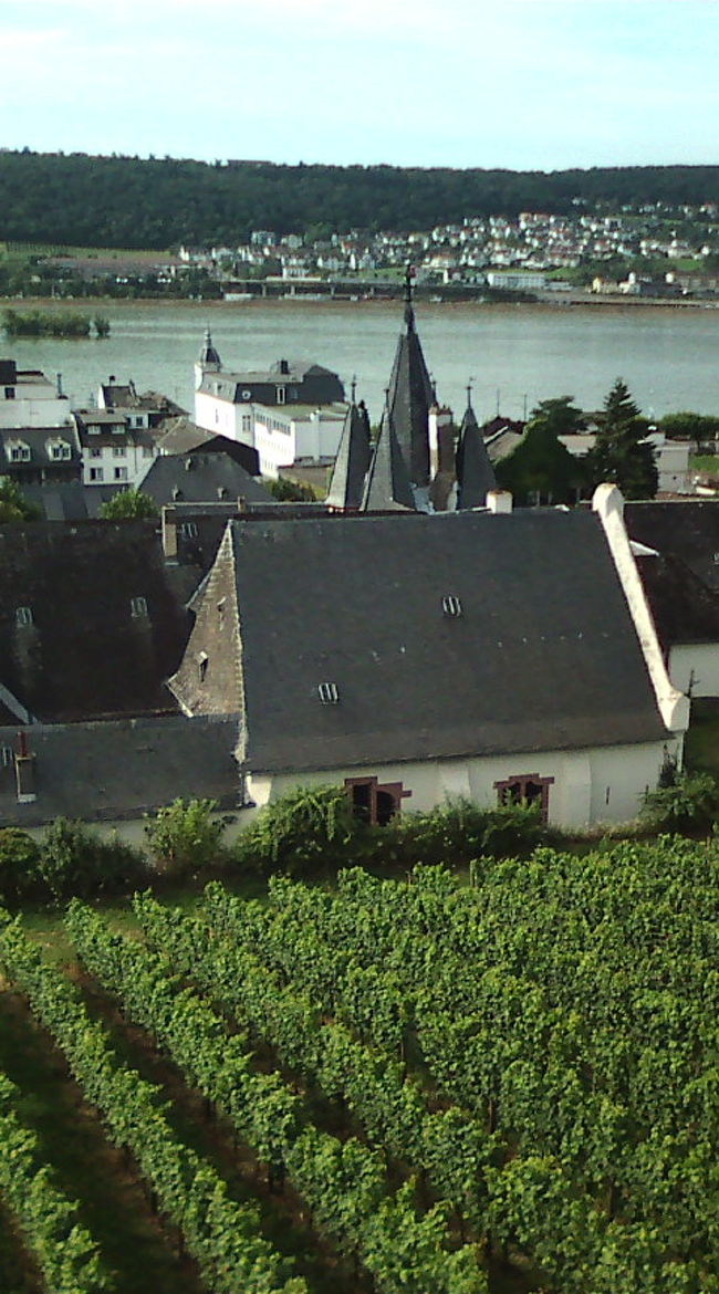 ゴンドラにのりま〜す　ライン川からの照り返しで、良く日が当たるので、いいブドウが育つんだそう。へ〜☆　そして日本のブドウ狩りのイメージしかなかった私は、ブドウが縦ならびで育てられているのも　へ〜☆でした。茶畑みたい。（←どんな比喩？）