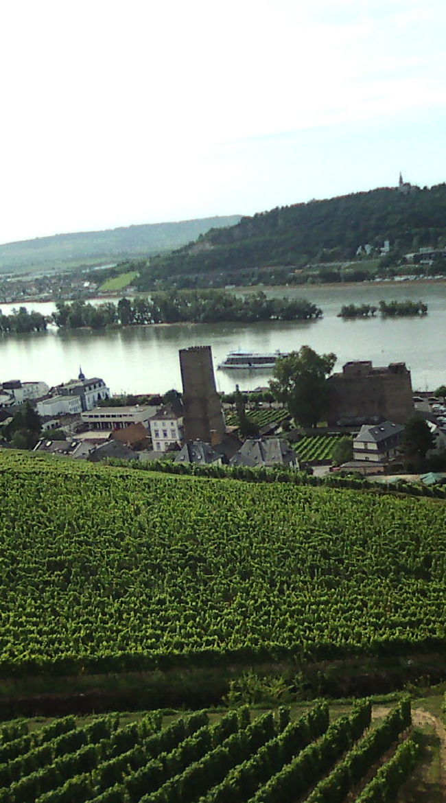 ゴンドラからライン川沿いを見渡します。