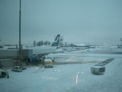 ヘルシンキに着くとこの天気。