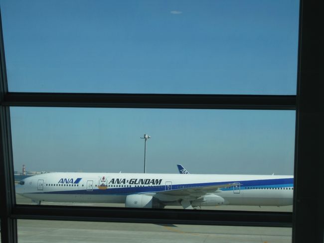 ガンダム機です。<br /><br />私が乗った機体は全面ピカチュウでした。