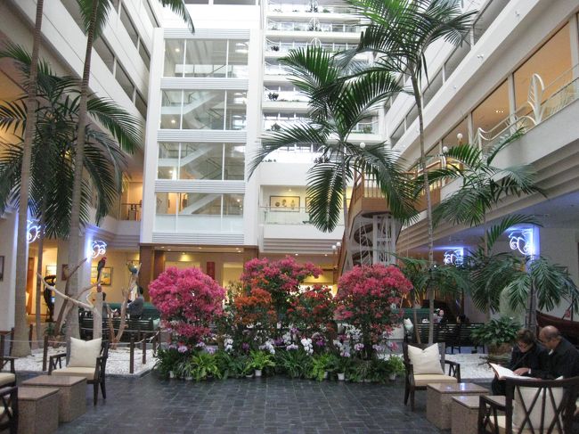 330号線と58号線を北上すること1時間、17：15頃に<br />ルネッサンスリゾートオキナワに到着しました。<br />ホテル近接の駐車場が満車だったので58号線を出て<br />向かい側の第二駐車場へ止めました。<br />ちょっと不便な場所です。<br /><br />昔泊まったことのあるラグナガーデンホテルや<br />万座ビーチホテルと雰囲気は似ています。<br />