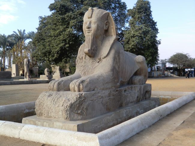 「メンフィス博物館」内にあるスフィンクス像。<br /><br />こちらのスフィンクスは、ギザのスフィンクスと違い、あご下の髭が残っていました。