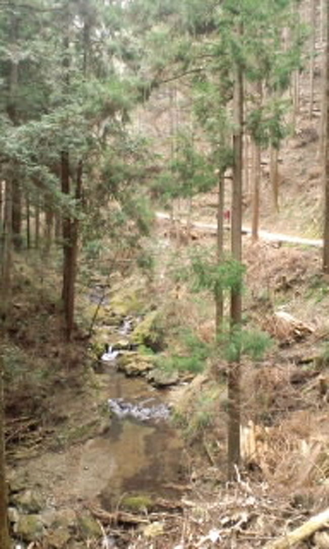 払沢の滝<br /><br />杉の中を道を通っていきます。<br />花粉症の方は季節を選ばないとしんどそうって思いました(^_^;)