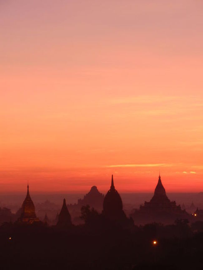 赤のコントラストも素敵。