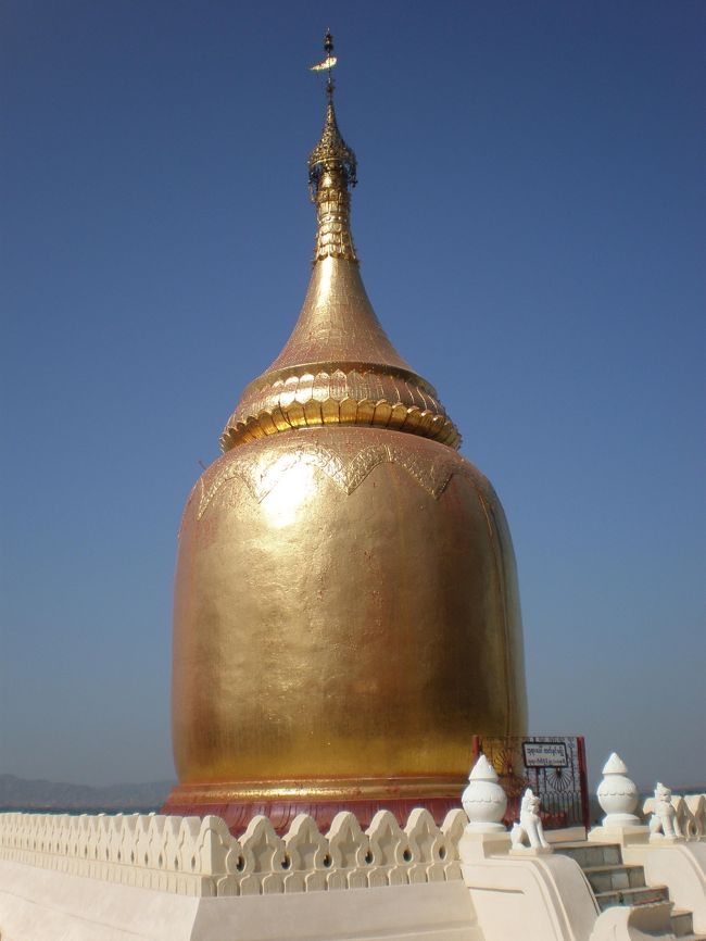 ぼってりした姿が愛らしい「ブーパヤー・パヤー」