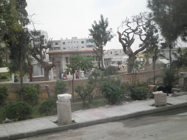 アレキサンドリア市街で