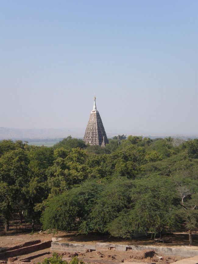 あ、マハーボディー！