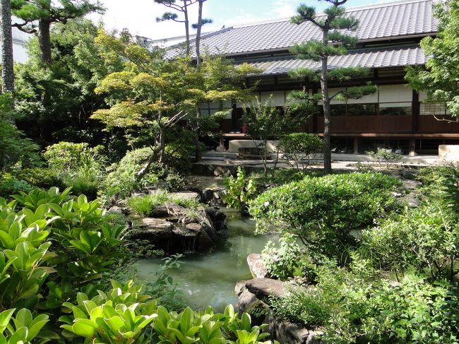 美術館裏にある庭園。