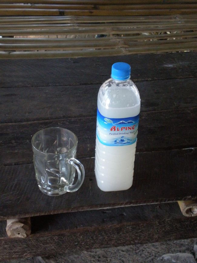 寄り道③<br /><br />やしの実のビール。<br /><br />やしの実から汁を取った後、一切手を加えず放置してると、勝手に発酵してビールになるそうな。<br />まだ、完全にはビールになってなかったけど、飲ませてもらった。<br /><br />なんか、カルピスソーダのアルコールみたいな感じで、甘かった！<br /><br />ミャンマーは、自然なものがいっぱいだ。