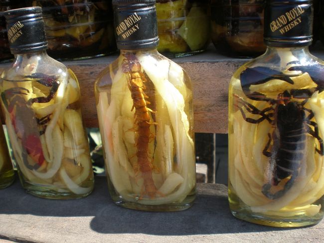 素焼きの店の前にあった。<br /><br />元気になるお酒。<br />男性の方がよく買っていくんだそうで･･･あ、そっちの元気になるでしたか笑<br /><br />ほんのちょっと、飲ませてもらったけど、<br />飲んだ瞬間、口の中がびりっと痛かった！びっくりした!<br />でも、元気になった･･･かな笑