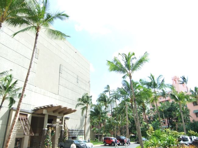 ヤシの木が南国気分。<br />空が高い気がしました。