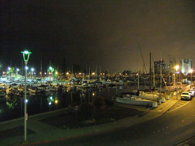 食事も終わり、夜景を見ながら歩いて帰る事に。