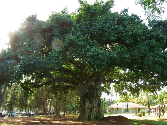 二日目☆<br />ハワイの半日観光スタート!!!