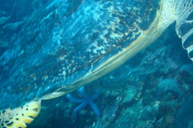 うわっ！ぶつかる〜