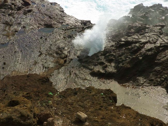 迫力がすごい！