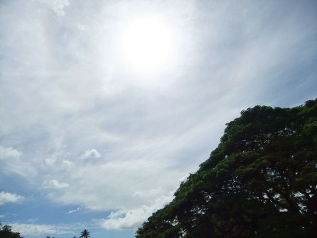 現地でガイドをしてる子に話しかけられ、お互い愛知県出身だと盛り上がり仲良くなりました。<br />歳も近いし、まさに運命の出会い☆☆☆
