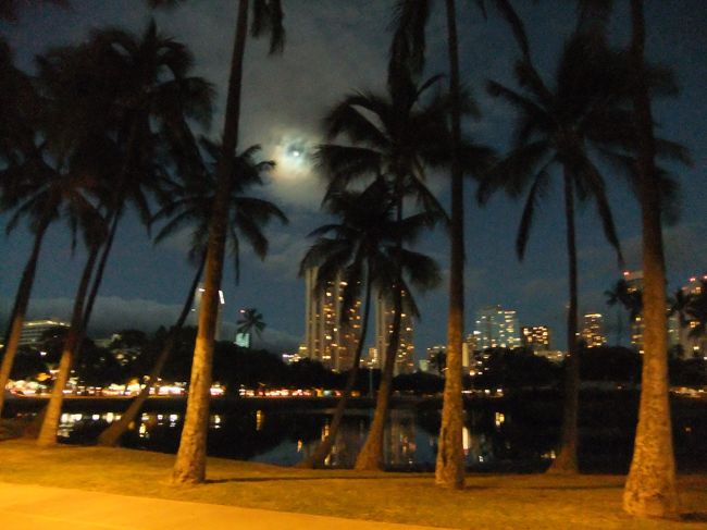 あっという間に夕日は沈んで、夜に。<br />今度は月が綺麗です。