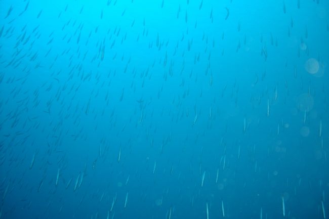 写真を９０度回転させているのではなく垂直に行ったり来たりする