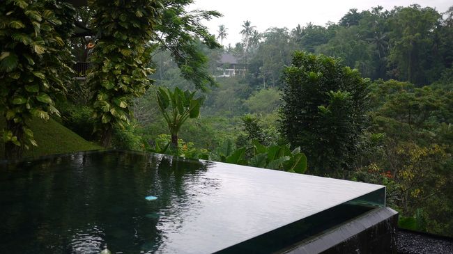 プールの先っぽから崖下が見える。