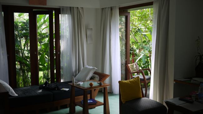 窓を開けると自然な光が差し込む。