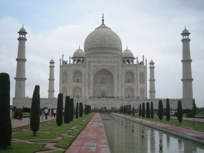 近づいてみました。