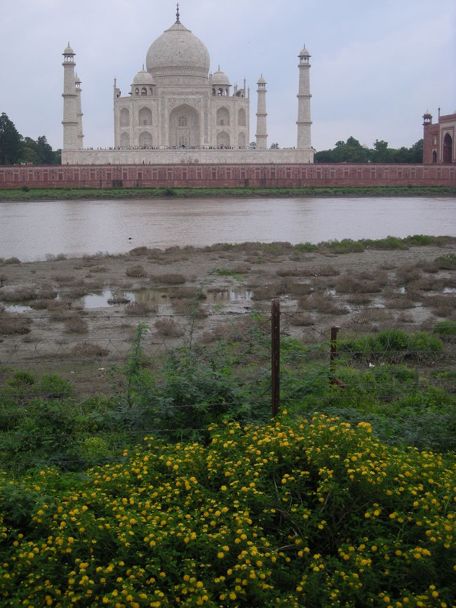 川越しのタージマハルもすてきです。