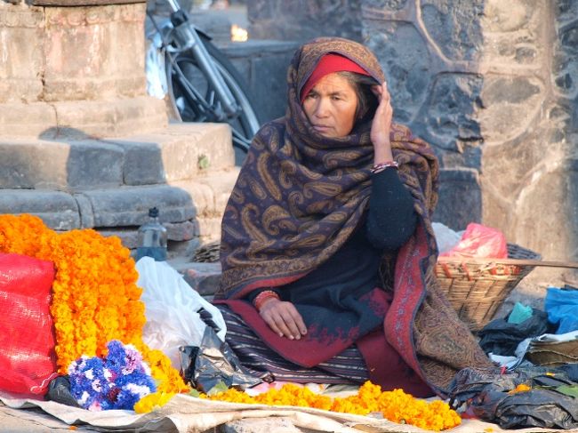 お寺に捧げる花売り