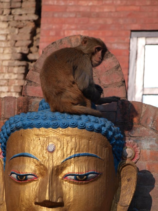 こらこら、仏さまの頭の上に登って、どうすんねん?