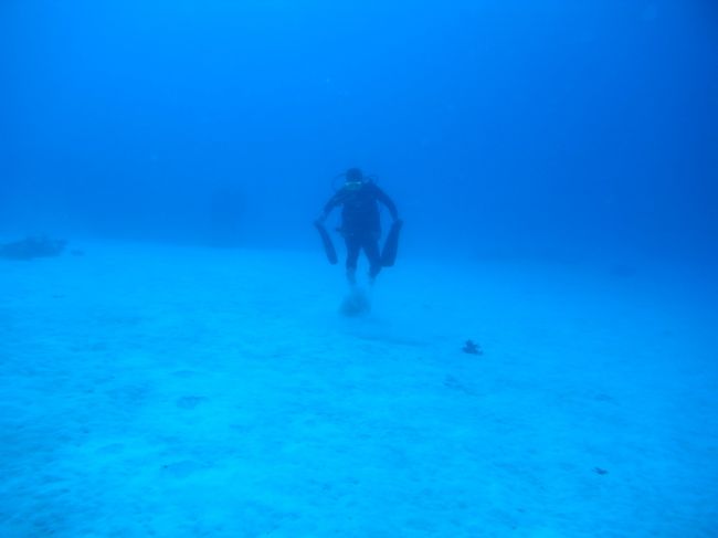 ２本目＠シミランTHE CHANNEL<br /><br />砂地がどーんと広がってます。<br />