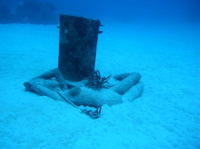 人魚もいるけど。<br /><br />なぜ？？？？