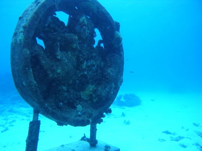 干支の１２支のモニュメントもあります。<br />これはウサギさん。<br />わかるかなぁ？肉眼でもなかなかわかりづらいのも多かったけどね。<br /><br />一回潜ったから、次回はもうこのポイント潜んなくていいや。