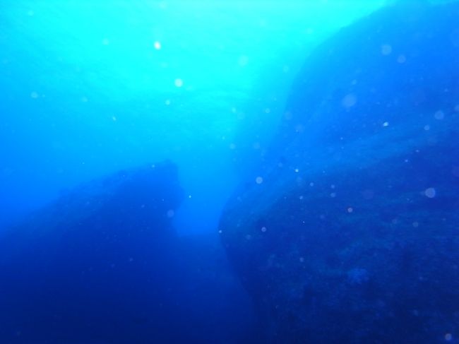 ２日目、相も変わらず曇天です。。。<br /><br />無理くりテンションあげて１本目、＠シミランELEPHANT HEAD ROCK<br /><br />巨大な一枚岩がお見事！！<br />こういう景観はシミランならではですね〜♪割とわたしこういうのも好き。