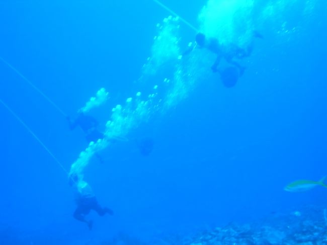 ４本目、ビックリな光景に遭遇！！<br /><br />フィンもはいてなければ、タンクもしょってない人達発見。<br />水面からのびてる１本のホースで呼吸をしているの？？？<br />よく息ができるよねー？