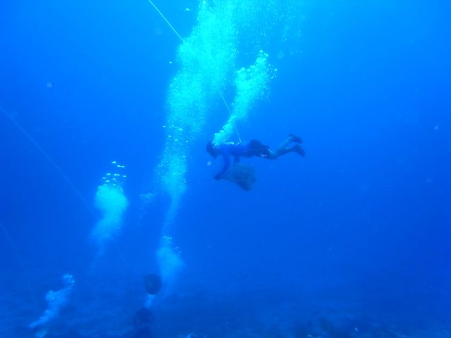 よくよく見ると、お魚を入れるかごをぶら下げて、どうやら漁をしているみたい！<br />すんごい漁があるもんだ、これぞ職人技ですね〜！！<br /><br />